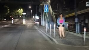 Prostituzione su strada, maggioranza boccia l’urgenza, allarme sicurezza