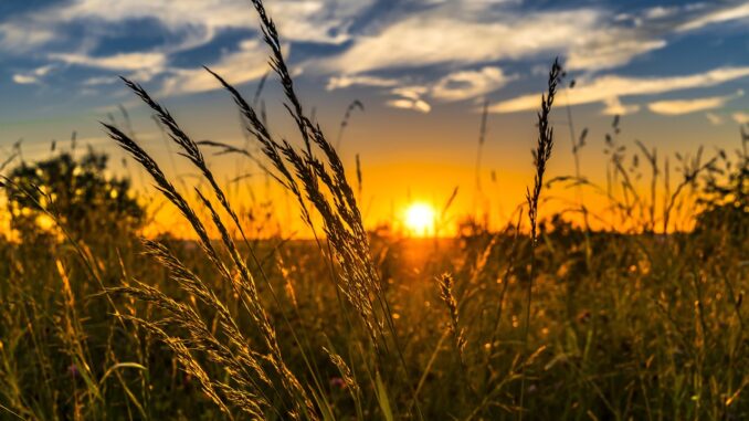 Sviluppo rurale e agricoltura ruolo guida dell'Umbria e Ateneo