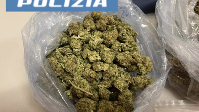 Operazione antidroga Polizia Foligno mezzo kg di marijuana