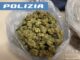 Operazione antidroga Polizia Foligno mezzo kg di marijuana