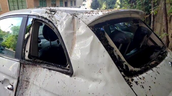 Alberi si schiantano su un treno e su una Fiat 500, disagi e danni in Umbria
