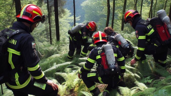Anziano cercatore di funghi con Parkinson ritrovato sano e salvo