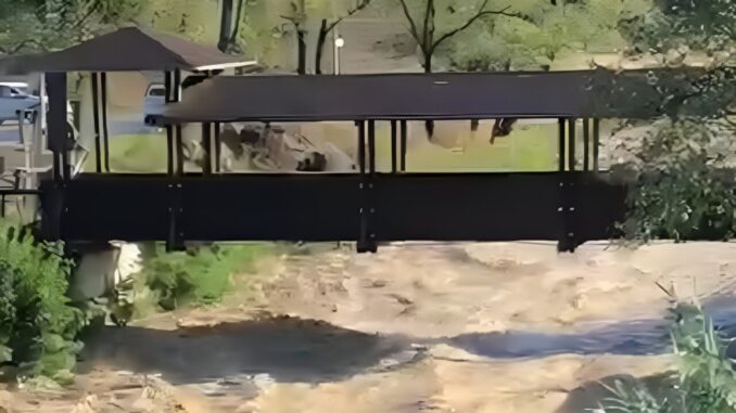 Esondazione del Torrente Tescio, le prime immagini video