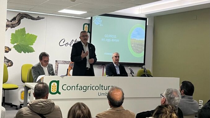 Coltivare barbabietola da zucchero in Umbria dal 2024 sarà possibile