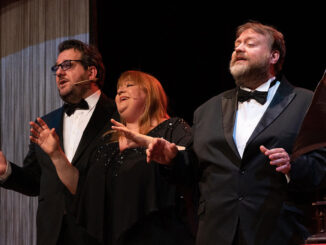 Ultimo dell'anno a teatro con la Compagnia!