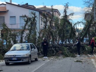 Alberi schiantati a terra distruggono 5 auto a Perugia e a Ponte San Giovanni, nessun ferito per fortuna