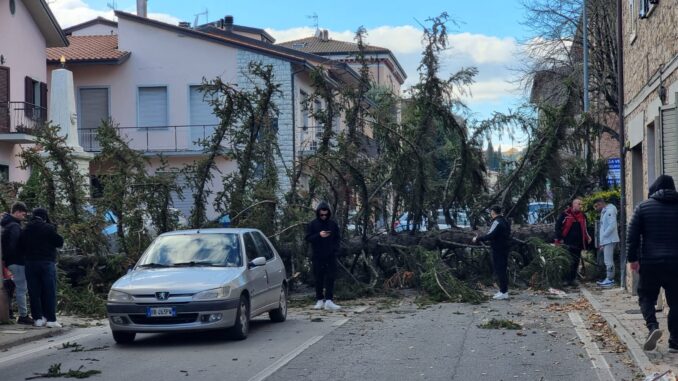 Alberi schiantati a terra distruggono 5 auto a Perugia e a Ponte San Giovanni, nessun ferito per fortuna