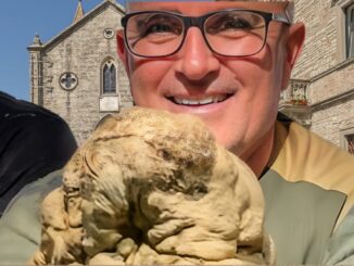 Scoperto maxi-tartufo da 1kg e 100, record a Pietralunga