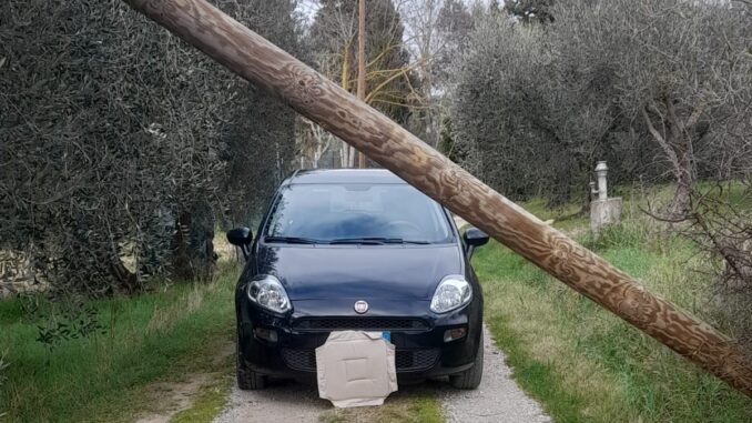 Palo telefonico caduto blocca da un mese accesso ad agriturismo