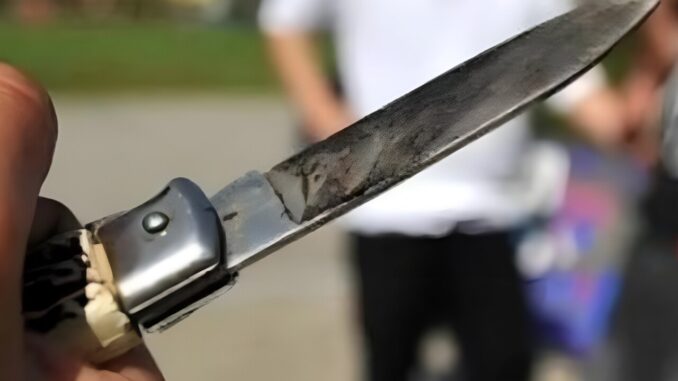 Aggredisce con coltelli madre e fratello, aguzzino arrestato dalla Polizia