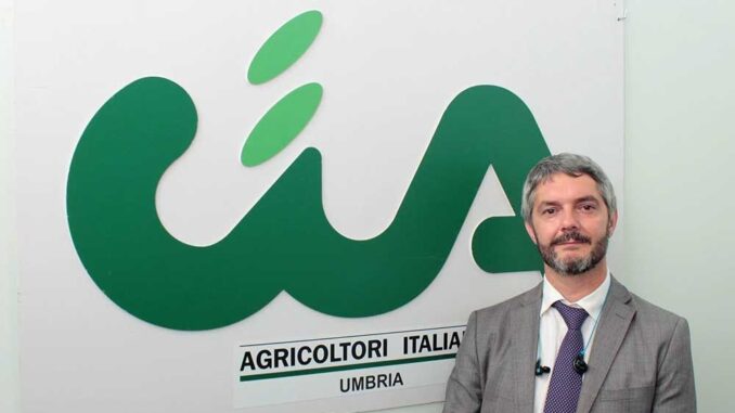 Cia Umbria Agricoltura chiede il contenimento cinghiali