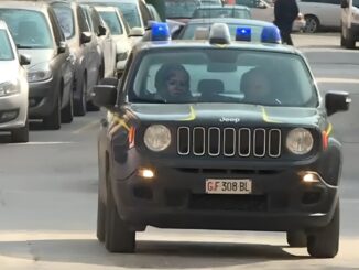 Sentenza di Patteggiamento per frode nelle pubbliche forniture