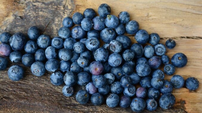 Svelato il segreto del 'blu mirtillo', in arrivo nuovi coloranti bio