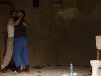 Formiche, arriva nei teatri di Magione e Perugia