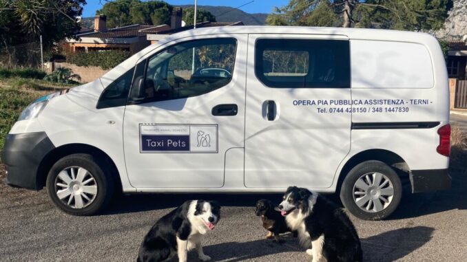 Attivo il servizio "Taxi pet". Grazie all'Opera Pia Pubblica Assistenza