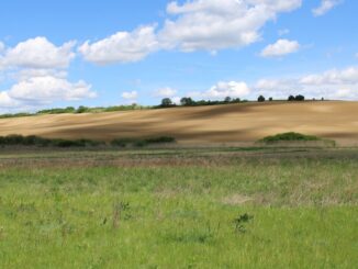 Mancini i provvedimenti a tutela e sostegno del settore agricolo umbro