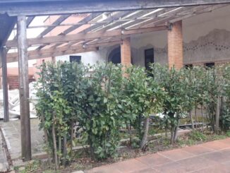 Immigrati a La Villa, Fratellini, dubbi sulla sicurezza e sulla regolarità