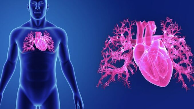 Fibrillazione atriale: in Italia intervento rivoluzionario di ablazione