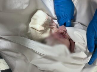 Parto precipitoso al Pronto Soccorso di Perugia: il primo del 2024