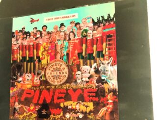 Il Pineye pop e postmoderno di Franco Prevignano