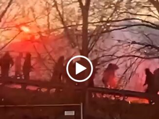 Scontri tra tifosi Perugia e Rimini prima della partita