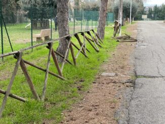 Bastia nel degrado più assoluto, pure i cani restano perplessi
