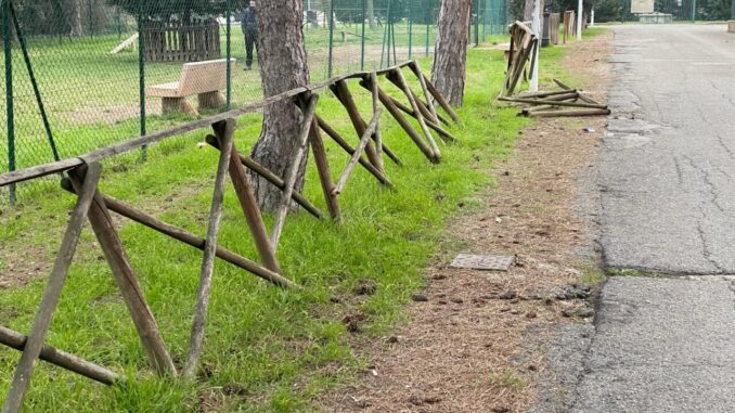Bastia nel degrado più assoluto, pure i cani restano perplessi