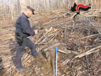 Lavoratori in nero, extracomunitari e senza permesso di soggiorno in una ditta boschiva