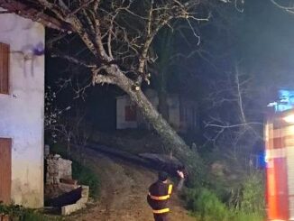 Emergenza meteo, interventi in corso e conclusi per condizioni avverse