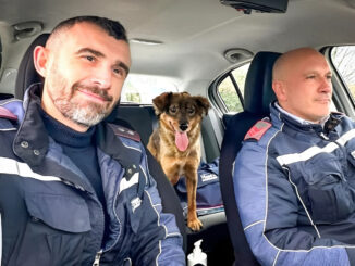 Luna, cagnolina salvata da Polizia locale Narni, ha trovato casa