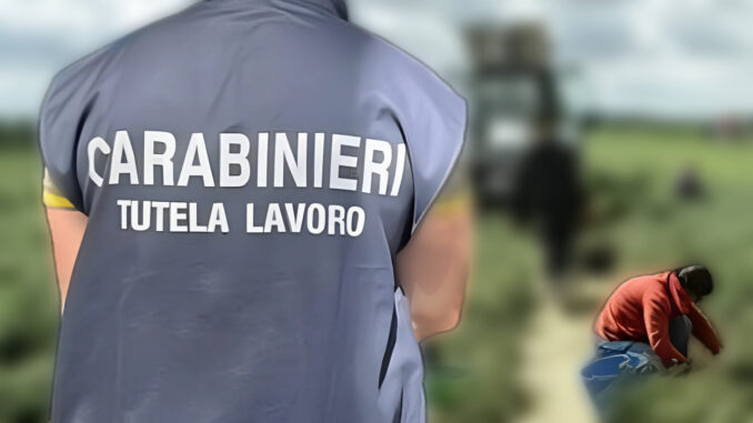 Ispettorato lavoro, sfruttamento clandestini in nero, sequestro per oltre 200 mila euro