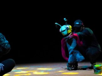 Spettacolo "Il bambino e la formica"
