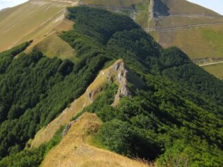 Consiglio contro il Parco Catria, Nerone e Alpe della Luna