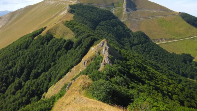 Consiglio contro il Parco Catria, Nerone e Alpe della Luna