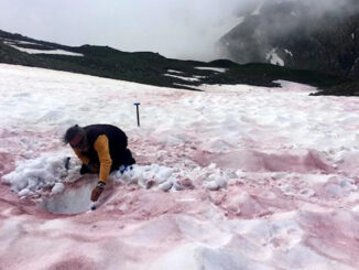 Pasqua tra calore estivo e neve rossa: l’Italia sotto l’effetto dello Scirocco