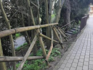 Ripa di Meana sì e via Pellas no? Guardate come viene giù tutto