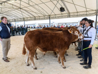 Agriumbria 2025 parte dall'Università. Il 18 febbraio il convegno dedicato ai bovini da carne presso il Dsa3 di Perugia