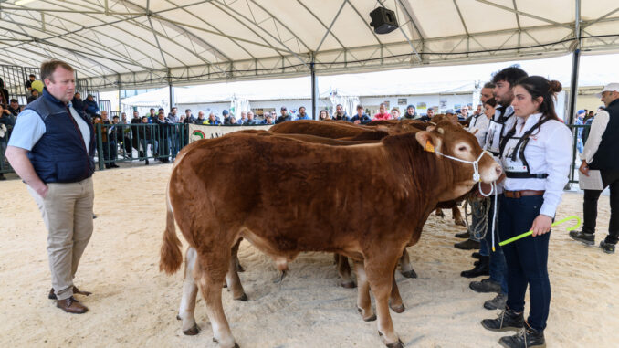 Agriumbria 2025 parte dall'Università. Il 18 febbraio il convegno dedicato ai bovini da carne presso il Dsa3 di Perugia