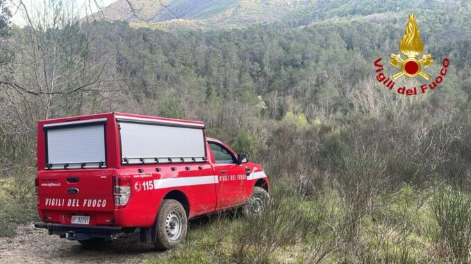 Incendio boschivo a Castel Rigone: spento dai VVF