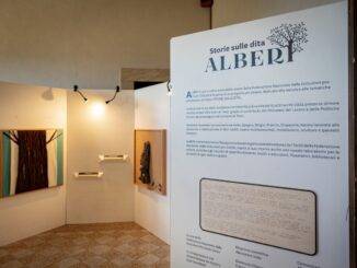 Storie sulle dita – ALBERI