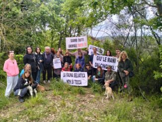 Preoccupazione a San Marco: Proteste contro Gabbia per Cinghiali