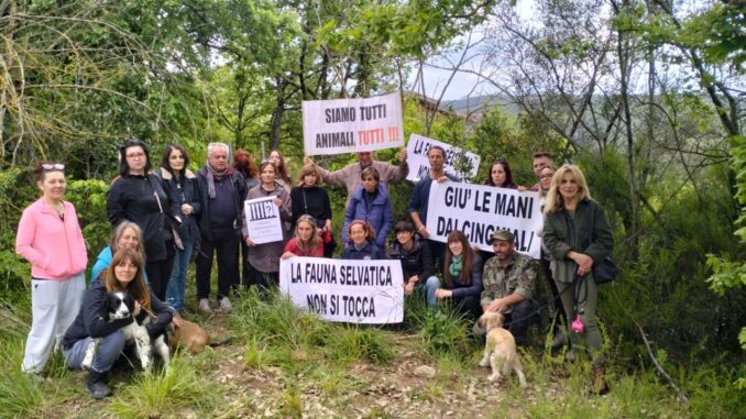 Preoccupazione a San Marco: Proteste contro Gabbia per Cinghiali