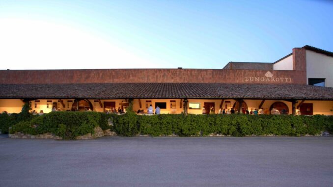 I primi 50 anni del Museo del Vino a Torgiano MUVIT
