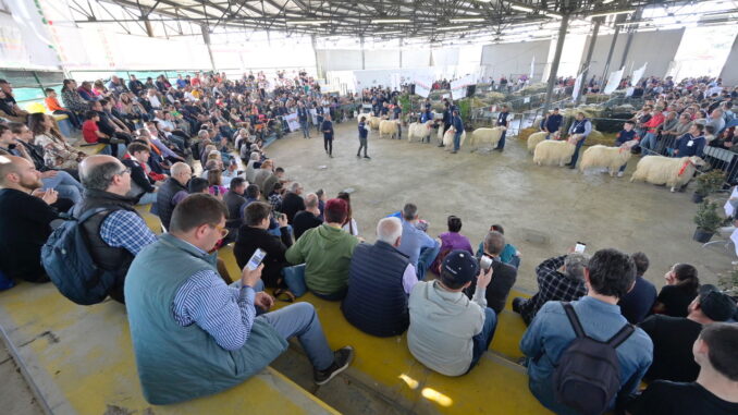 Agriumbria 2024, successo affari e festa popolare settore agricolo