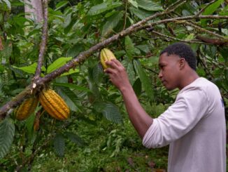 Al via il Progetto Playa de Oro - Ecuador