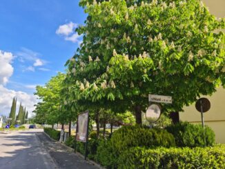Brt Perugia: lo stop in via Chiusi e la parola al Ministero