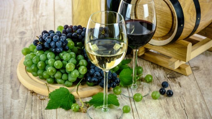 Only Wine presentazione della XI edizione a Città di Castello