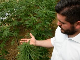 Politici sotto accusa: M5S Umbria chiede il test antidroga