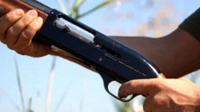 Spara e ferisce un cane con la carabina ad aria compressa, denunciato