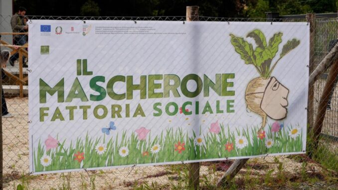 Un'Alba di Rinascita: La Nascita de 'Il Mascherone' e il Respiro Nuovo per l'Agricoltura Sociale a Orvieto